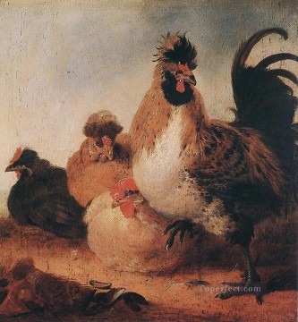  s arte - Gallo y gallinas, pintor rural Aelbert Cuyp